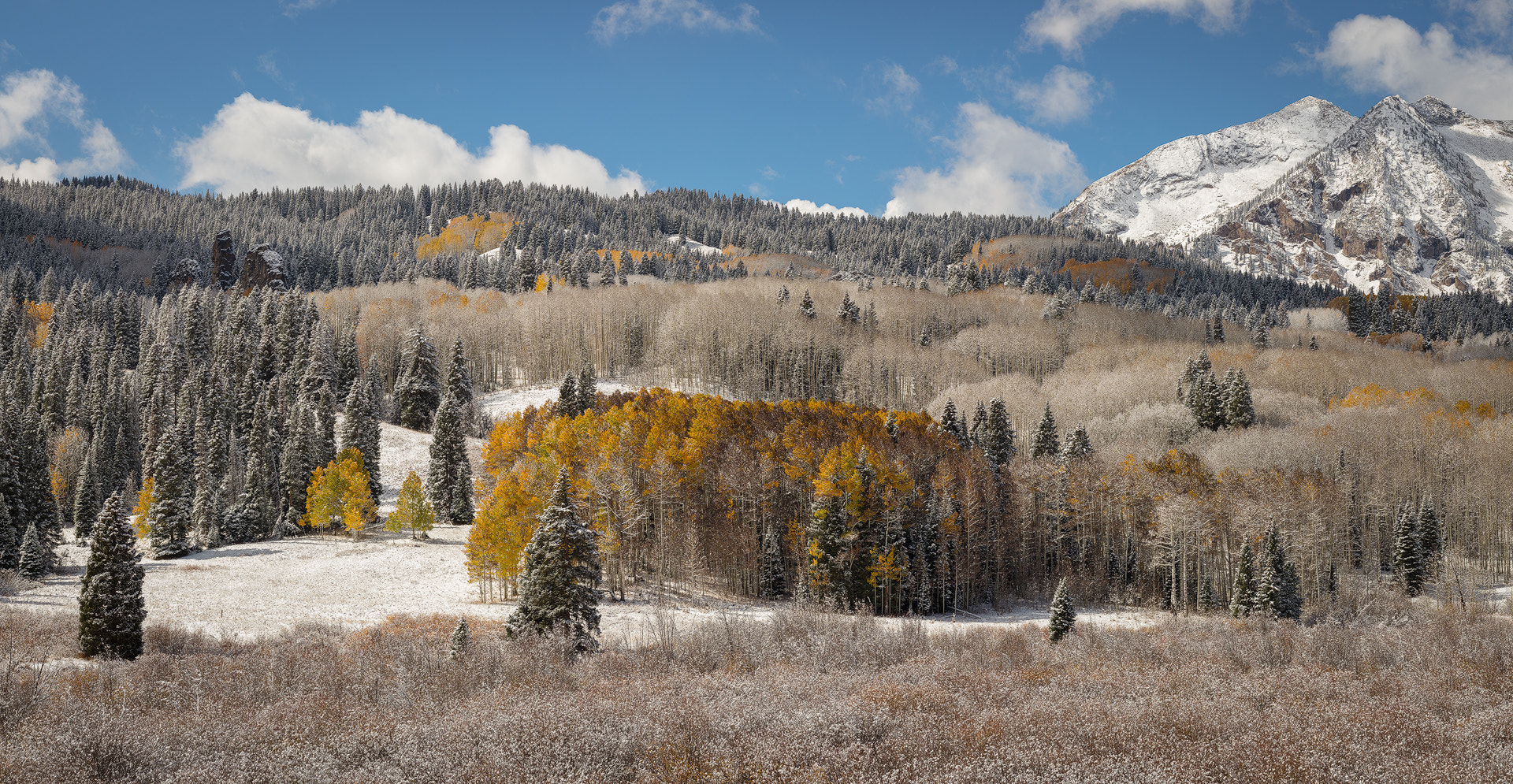 ZEISS Otus 85mm F1.4 sample photo. Aspen grove photography