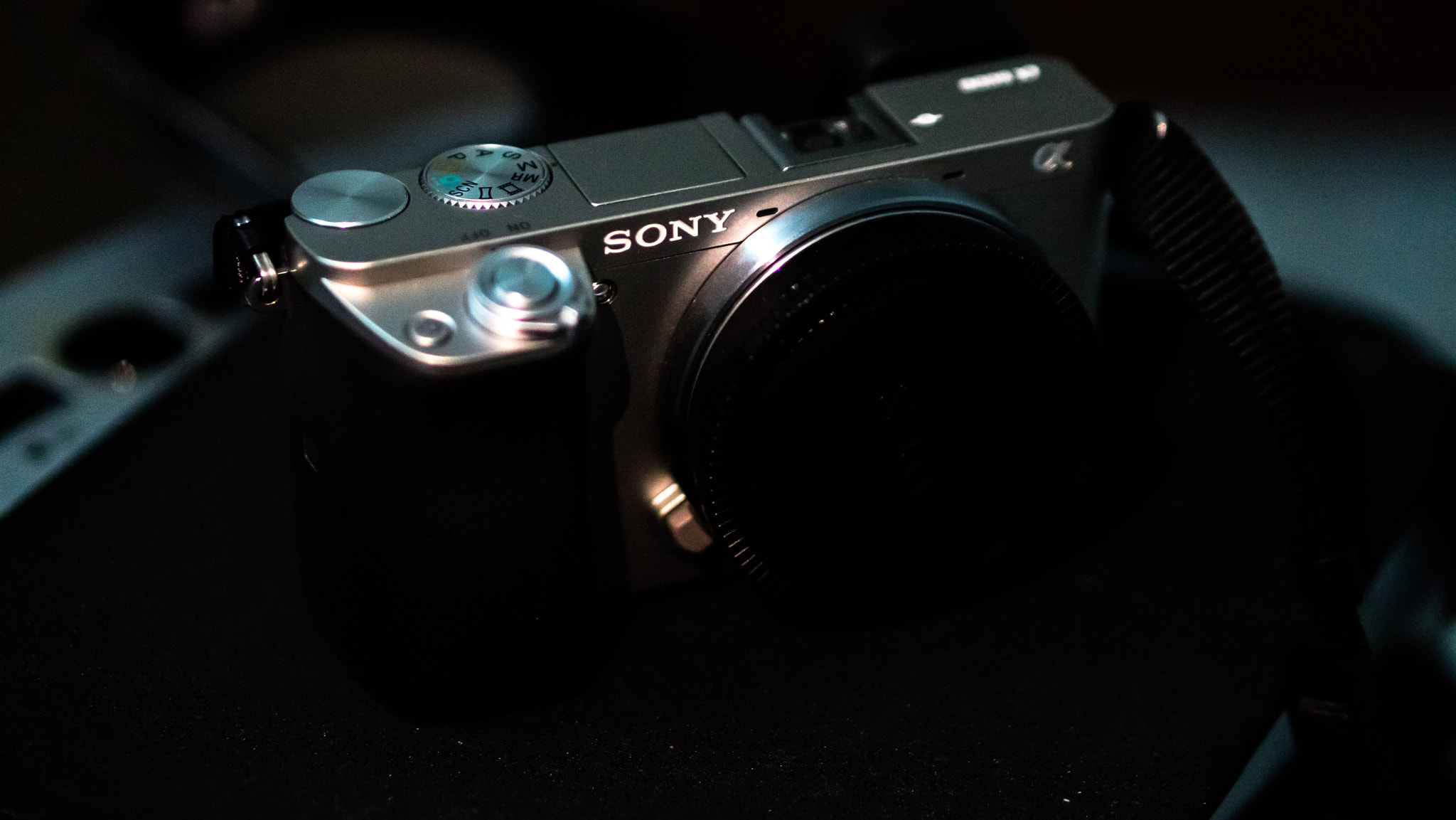 Sony a7 + E 50mm F1.8 OSS sample photo