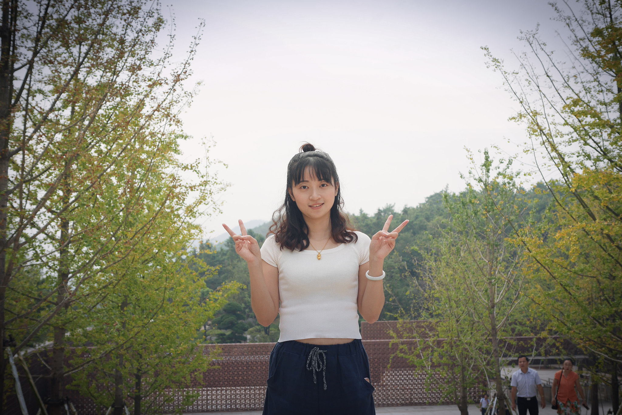 Panasonic Lumix DMC-GX7 + Panasonic Leica DG Summilux 25mm F1.4 II ASPH sample photo. 牛首山公园 photography