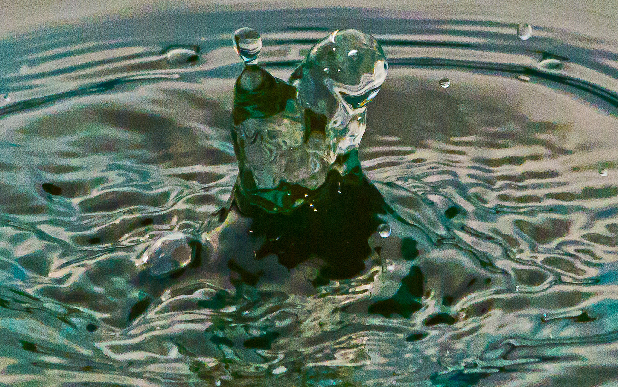Nikon D800 sample photo. Water art and reflection photography