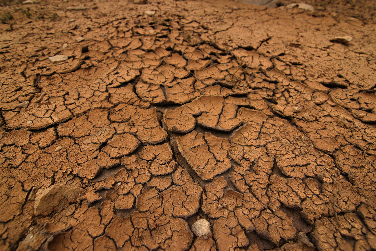 Canon EOS 550D (EOS Rebel T2i / EOS Kiss X4) sample photo. Cracked mud photography