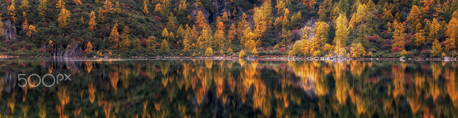 Sony a7 II + Canon EF 70-200mm F4L USM sample photo. Autumn paintings photography