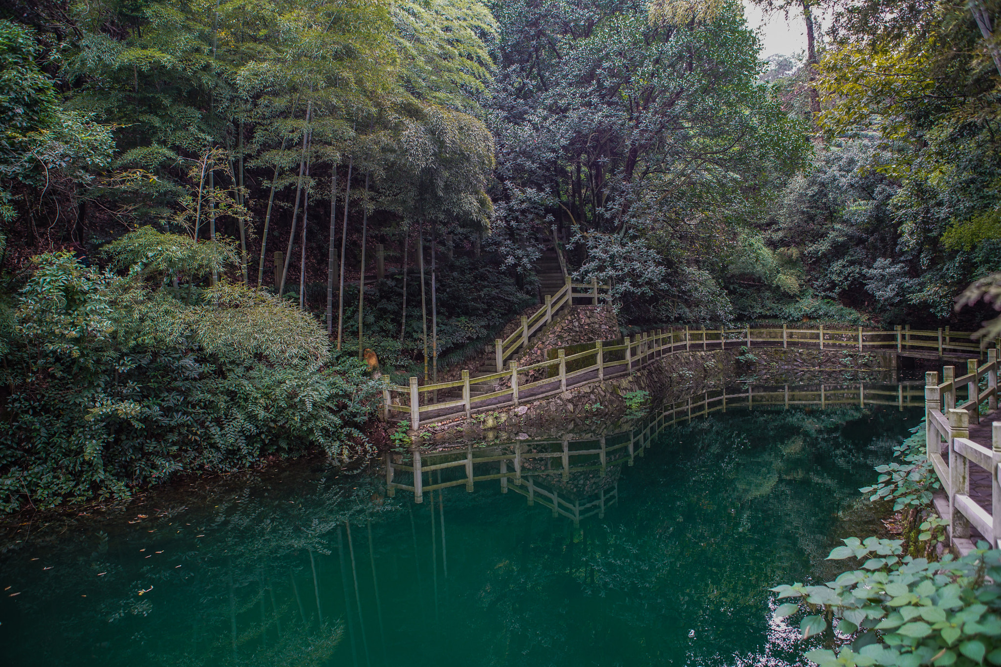 24-70mm F2.8 G SSM sample photo. Longjing imperial tea garden - scenes of photography