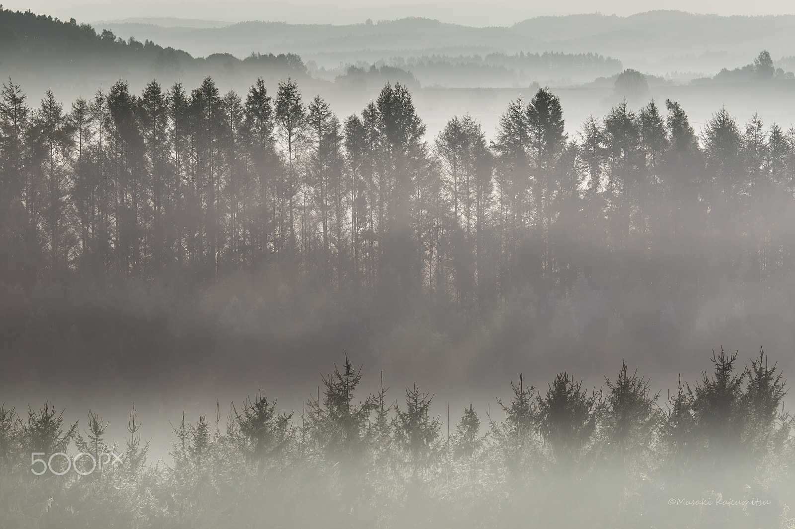 Canon EF 70-200mm F4L IS USM sample photo. When i dream. photography