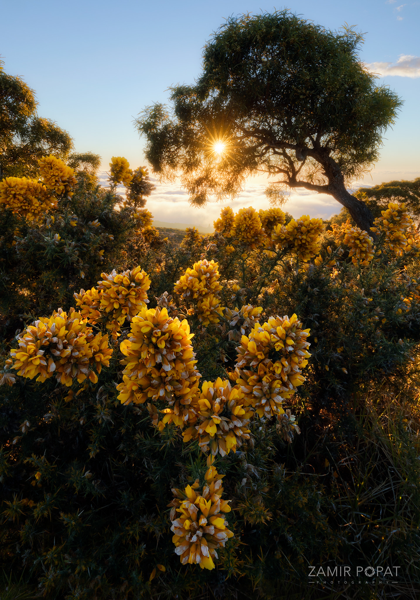 Canon EOS 5D Mark IV + Canon EF 16-35mm F4L IS USM sample photo. Symphony of the hills photography