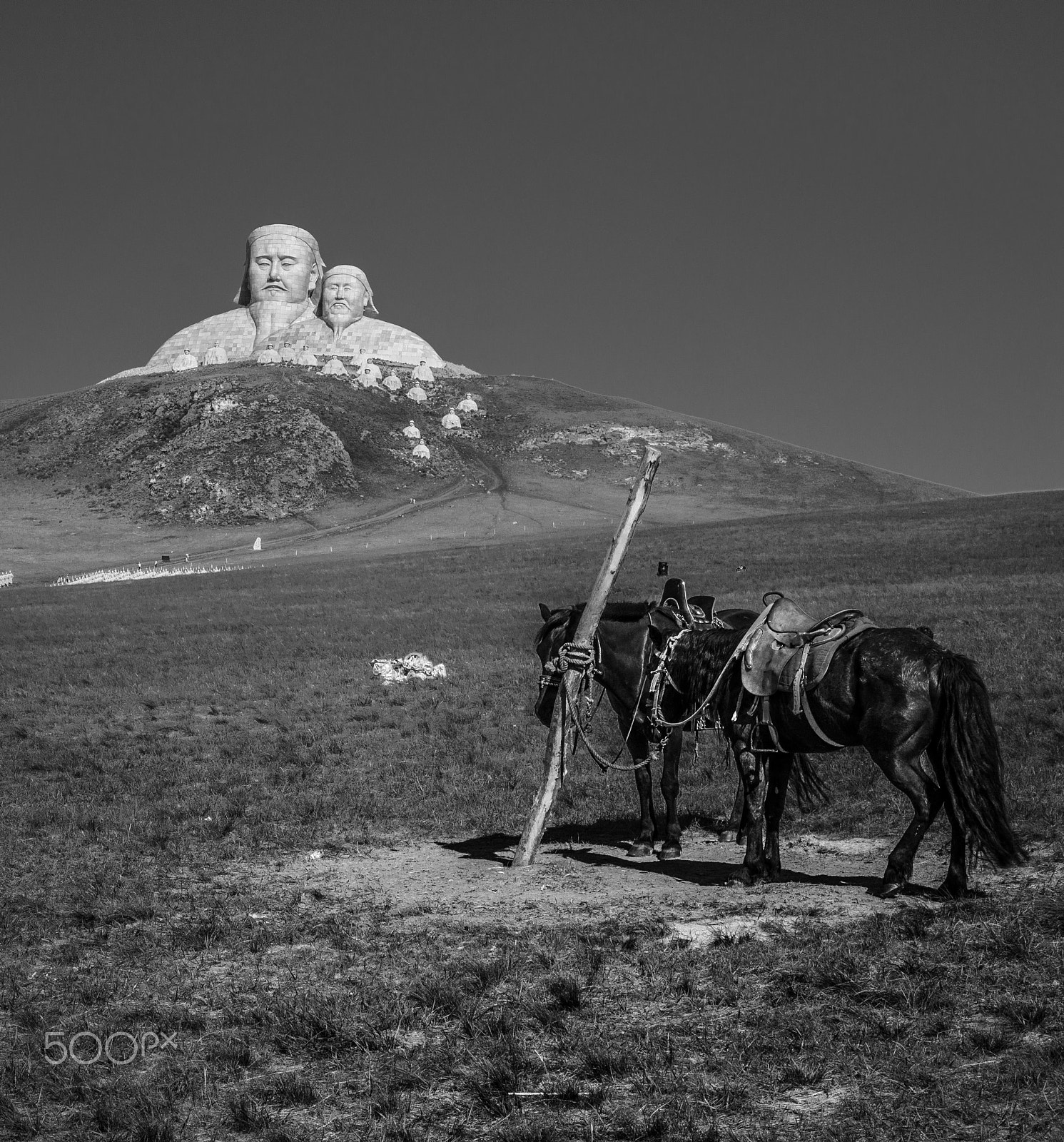 16-35mm F4 ZA OSS sample photo. Two steeds of genghis khan成吉思汗的宝马 photography