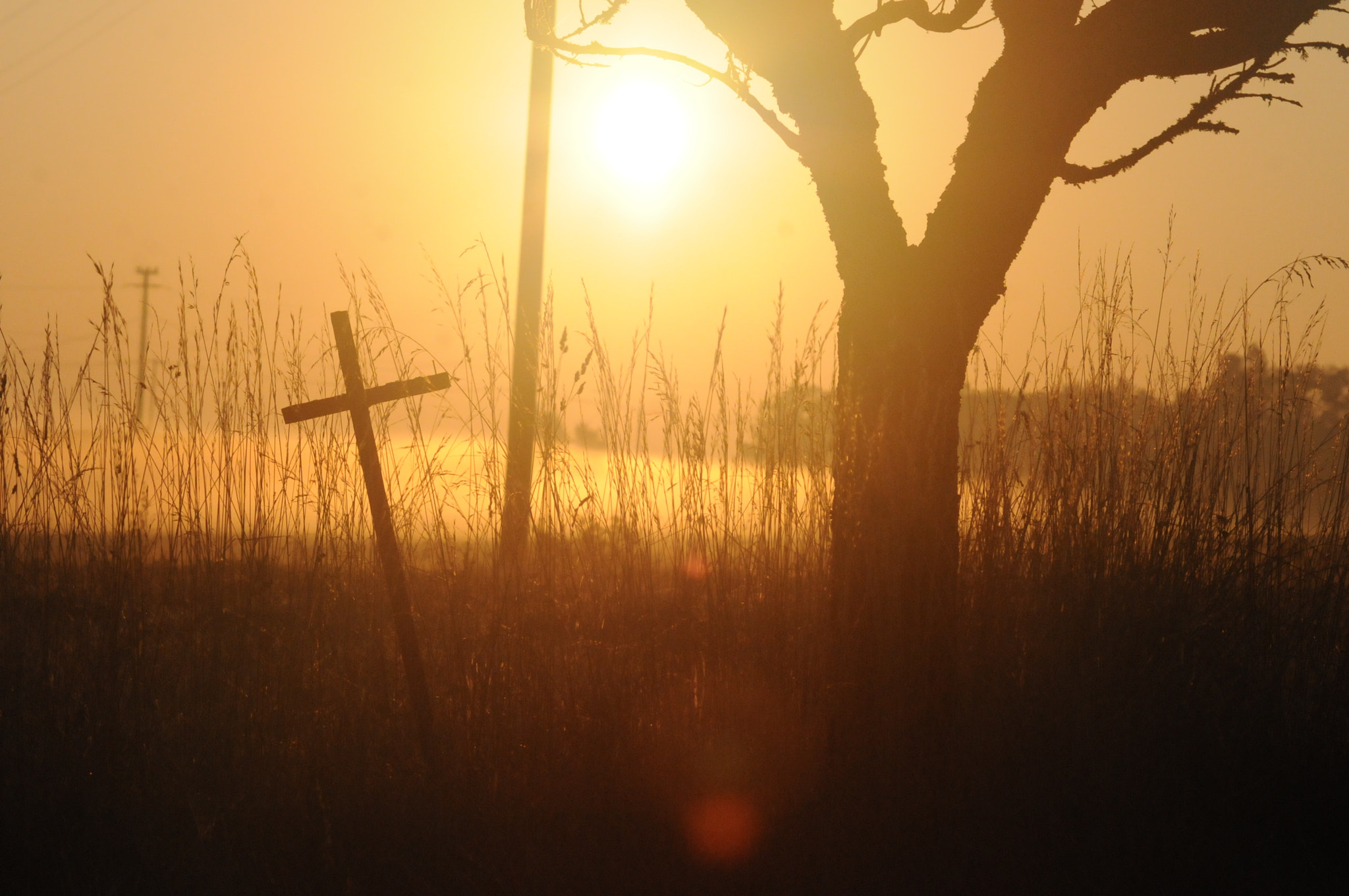 Nikon D300S + Sigma 70-300mm F4-5.6 DG Macro sample photo. Sunrise photography