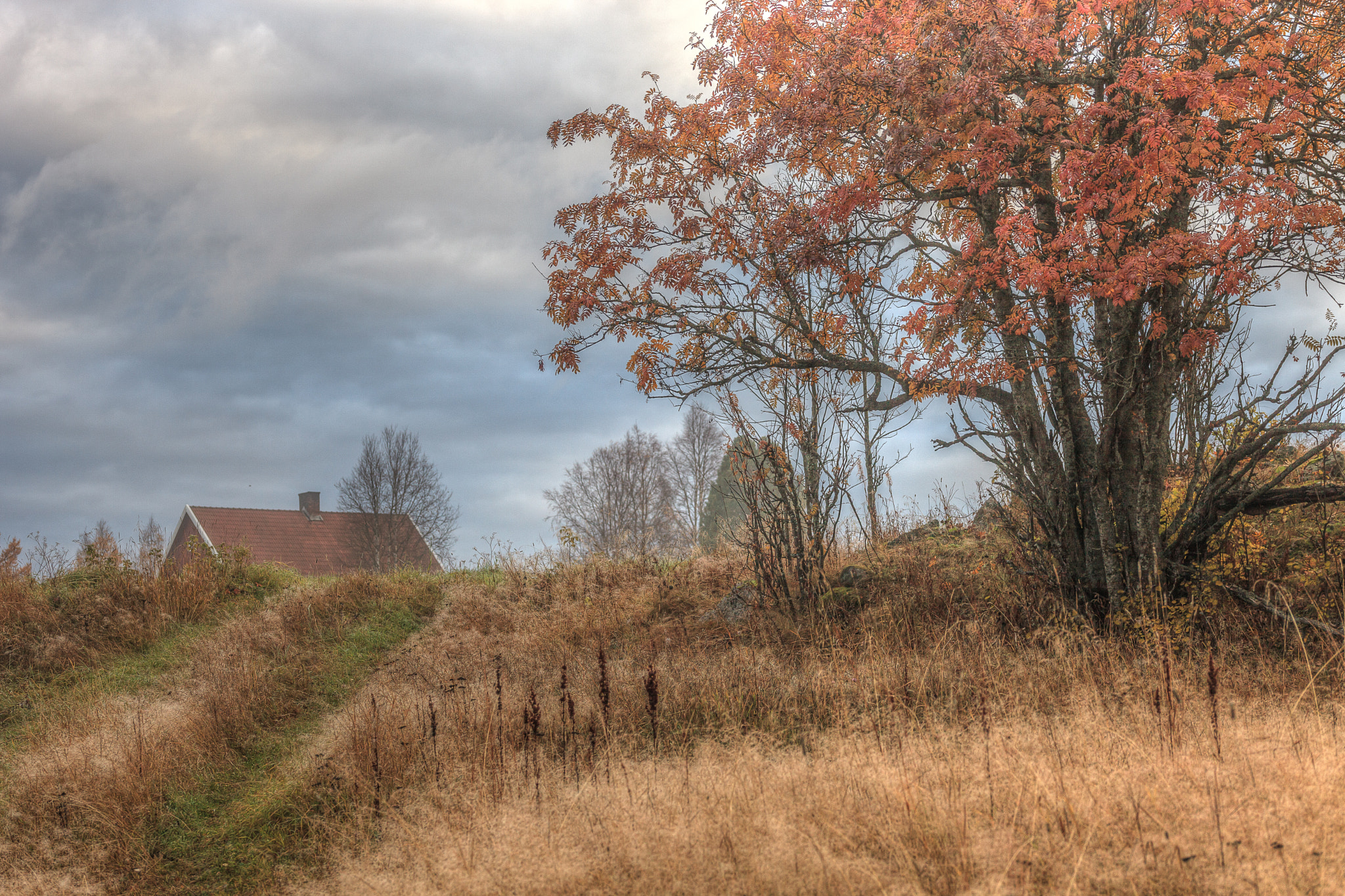 Sigma 105mm F2.8 EX DG OS HSM sample photo. Autumn morning photography
