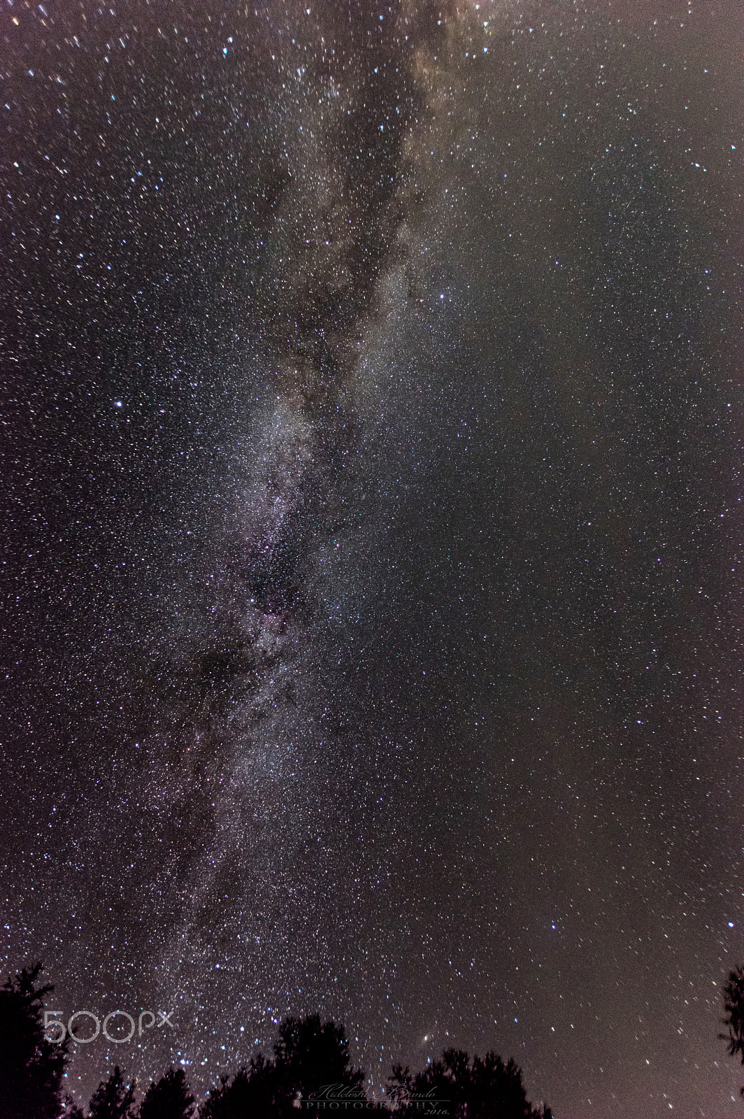 Sigma 10-20mm F3.5 EX DC HSM sample photo. Milky way photography