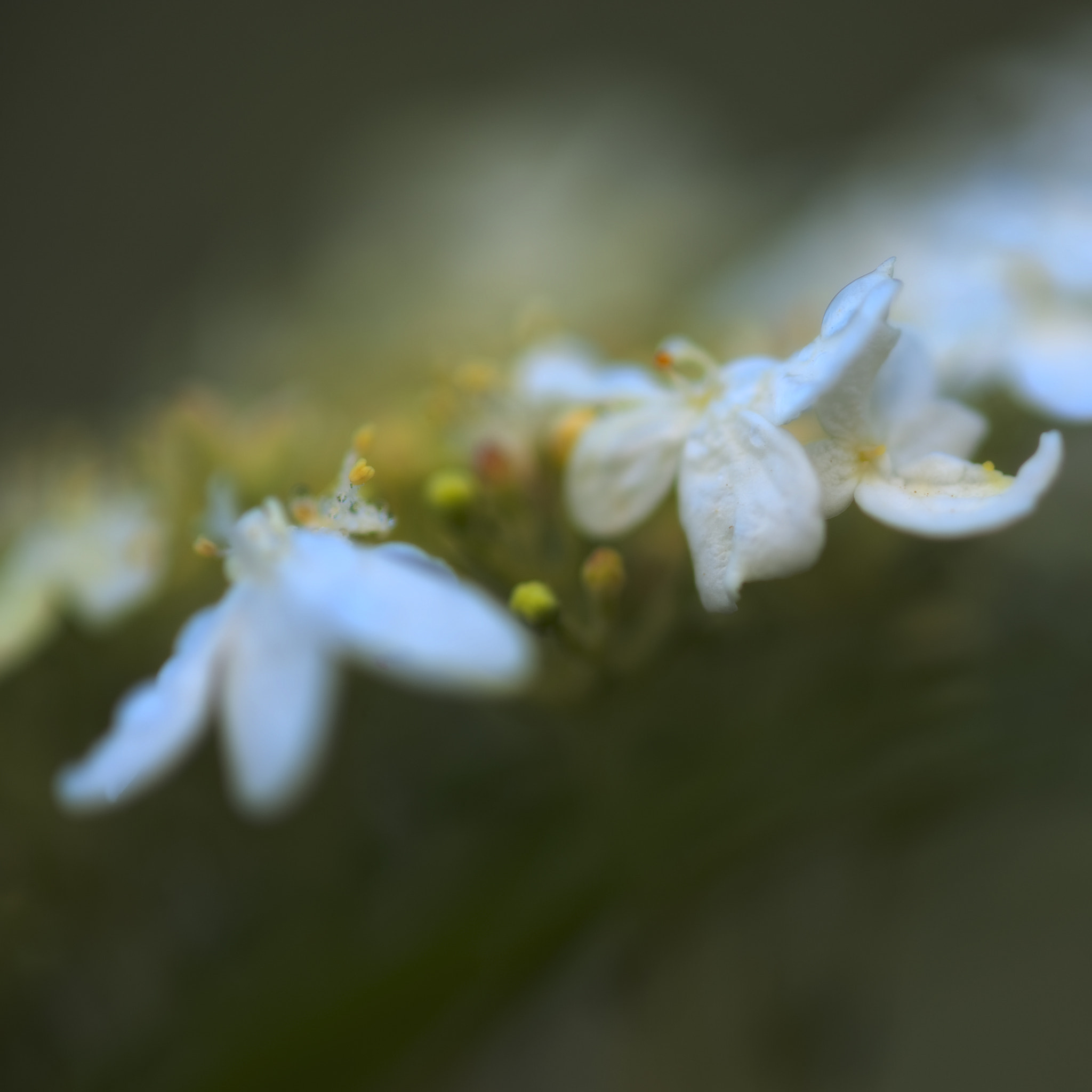 Nikon D3 sample photo