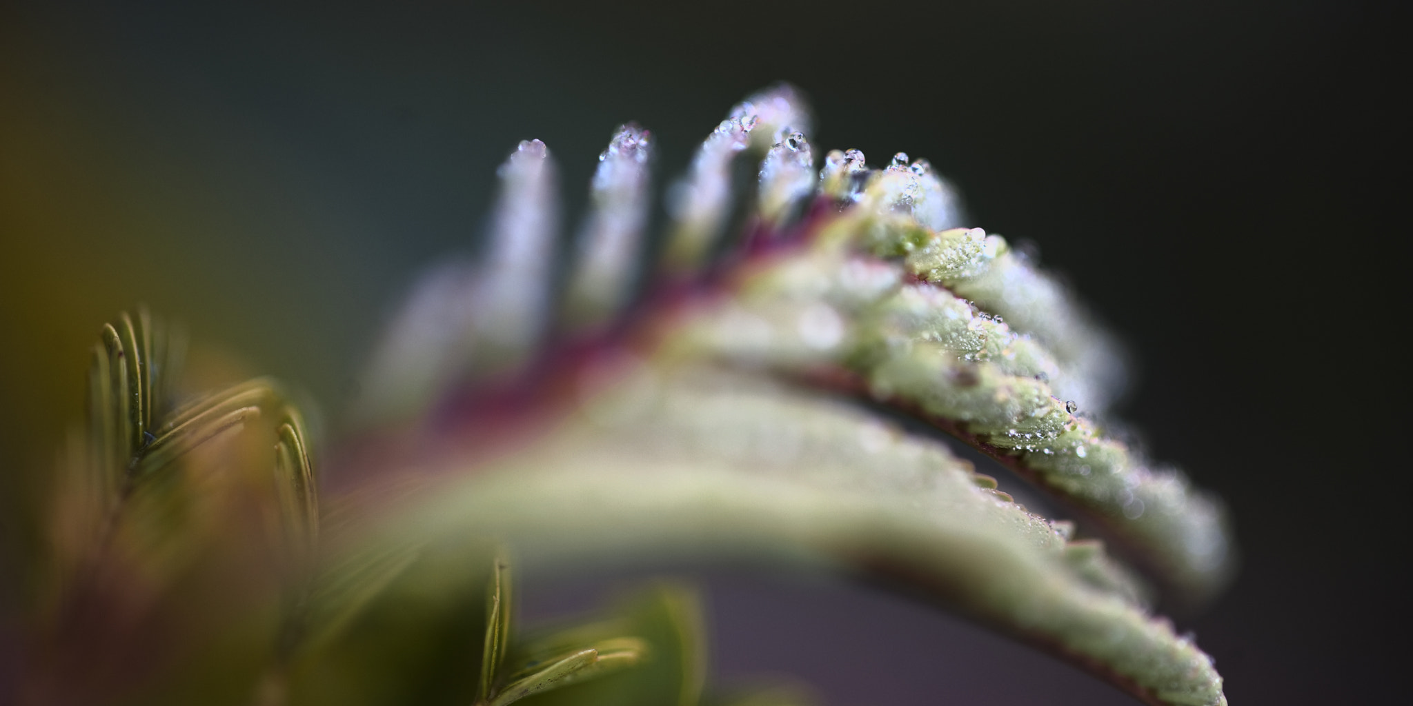Nikon D3 sample photo