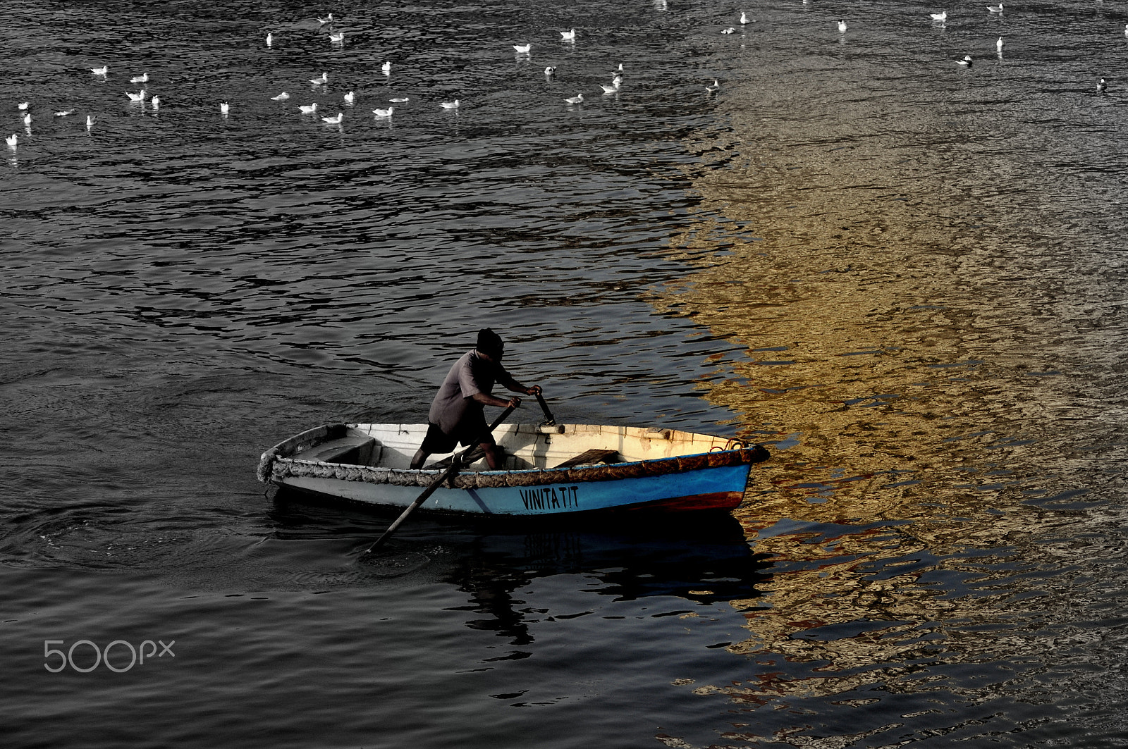 Nikon AF Nikkor 70-300mm F4-5.6G sample photo. Row...row..row & set sail...! photography