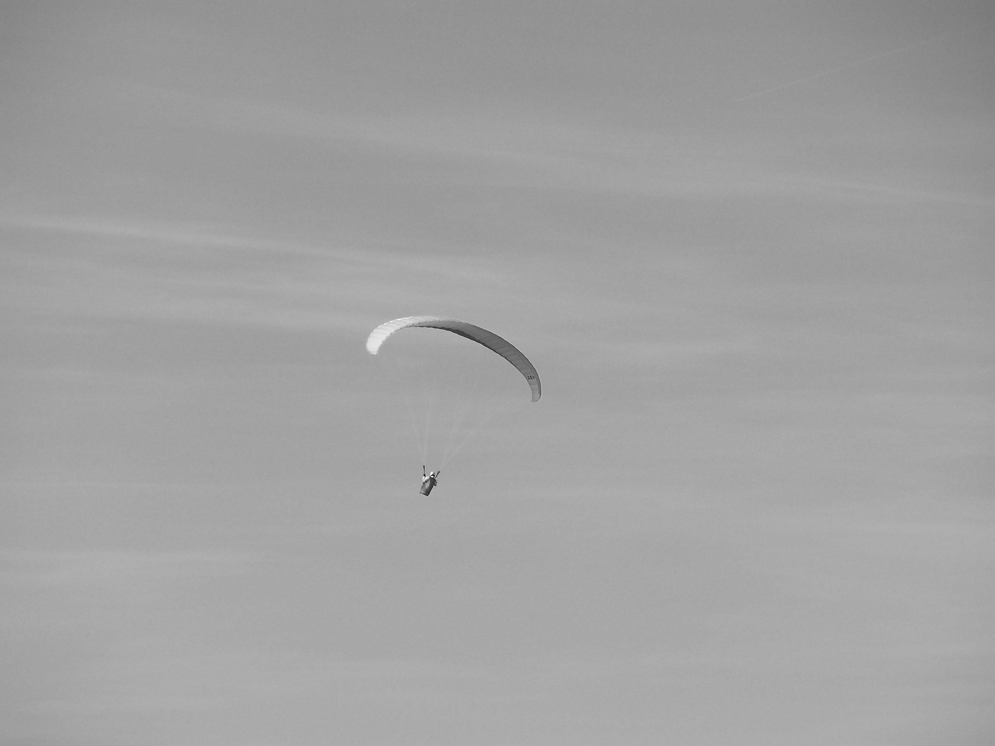 SANYO CG9 sample photo. Freedom. solo flight photography