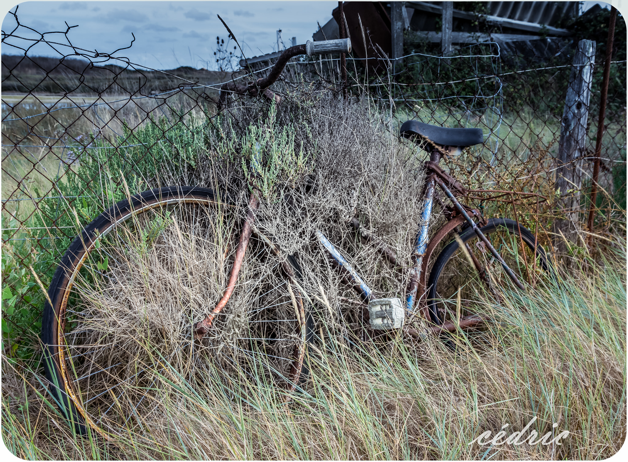 Pentax K-3 II sample photo. Retour à la nature pour un velo photography