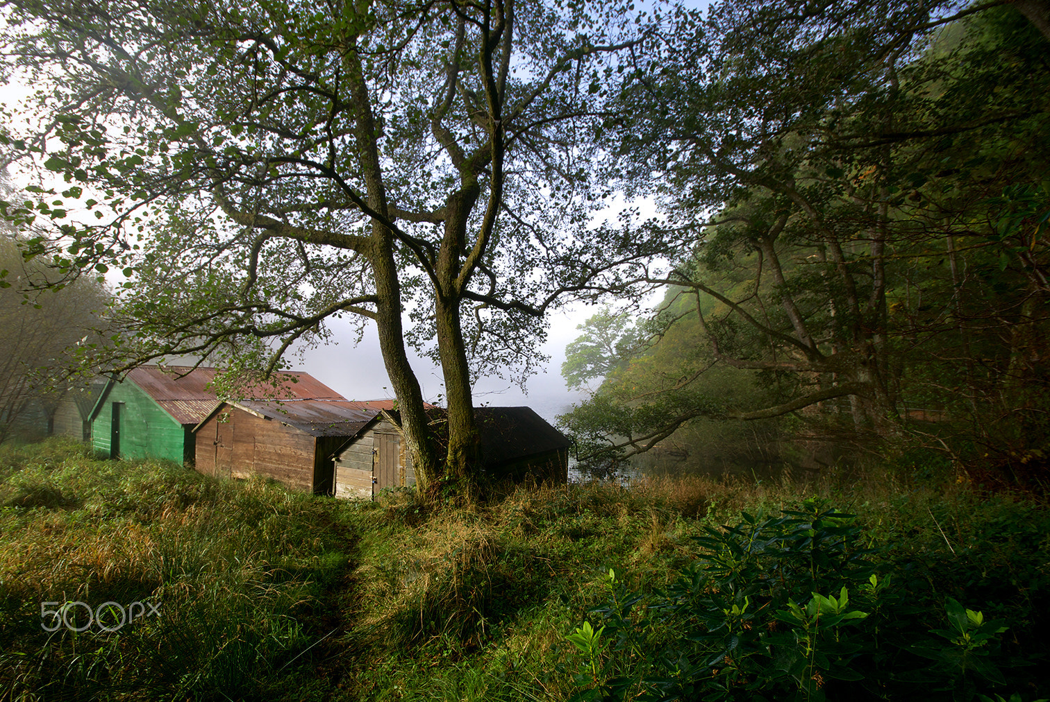 Sony ILCA-77M2 sample photo. Boathouses in mist photography