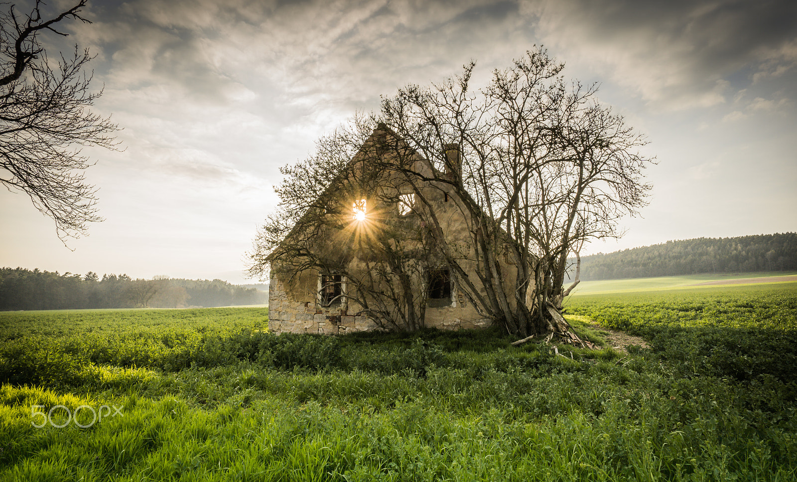 Sony a6000 + ZEISS Touit 12mm F2.8 sample photo. The old abandoned house photography