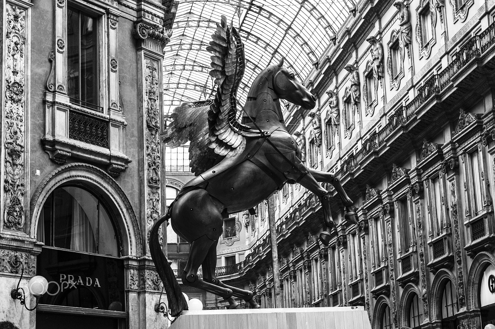 Nikon D300S + Nikon AF Nikkor 50mm F1.4D sample photo. Pegaso photography