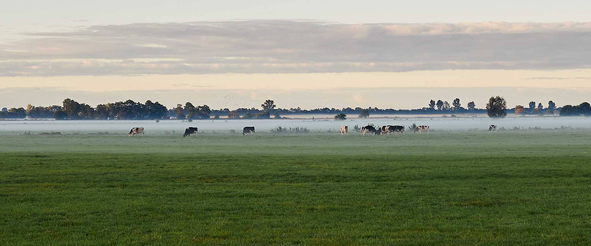 Nikon D700 sample photo. Früh morgens auf der gaste photography