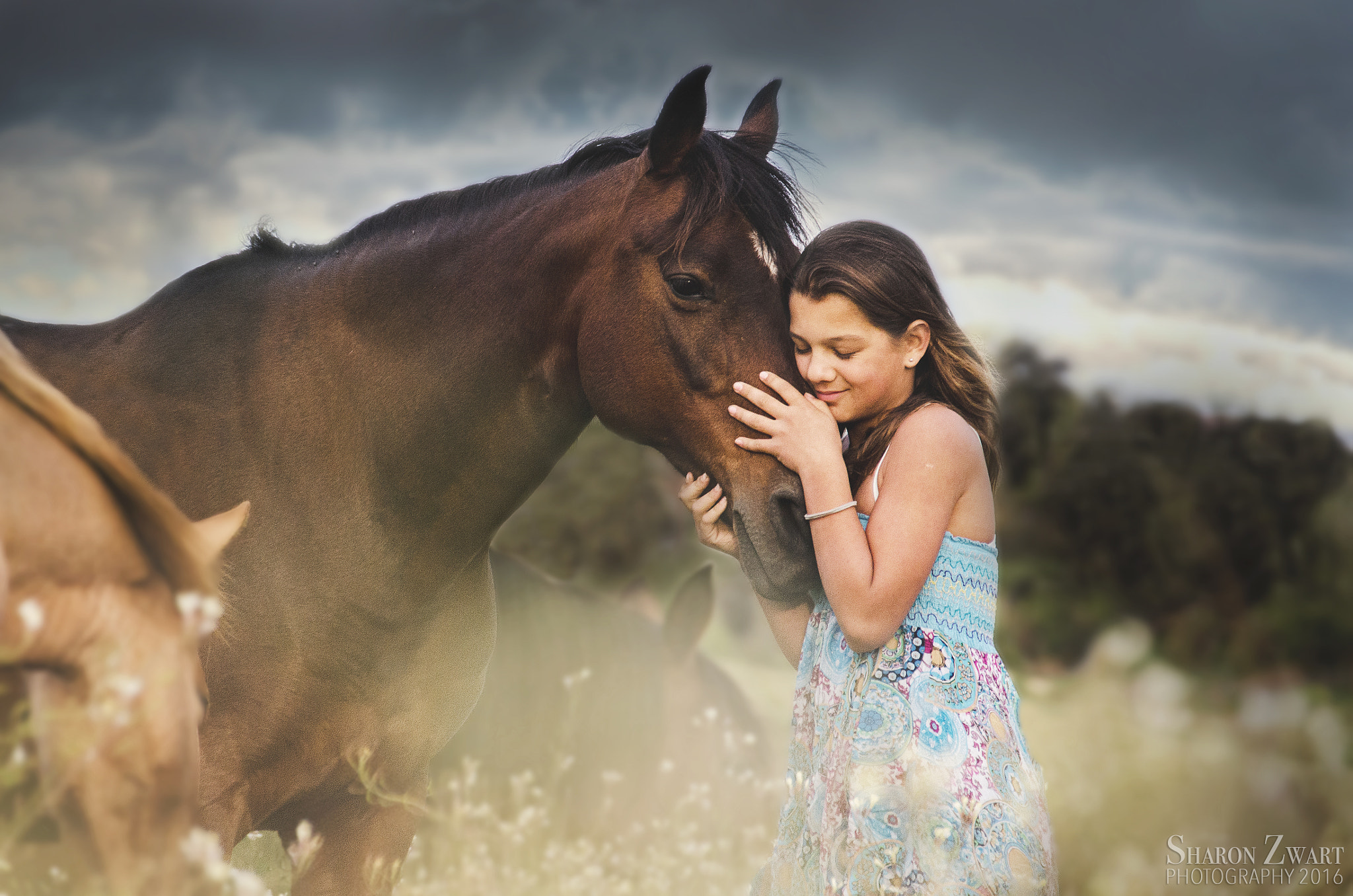 Sigma 18-200mm F3.5-6.3 II DC OS HSM sample photo. Tell me your secrets photography
