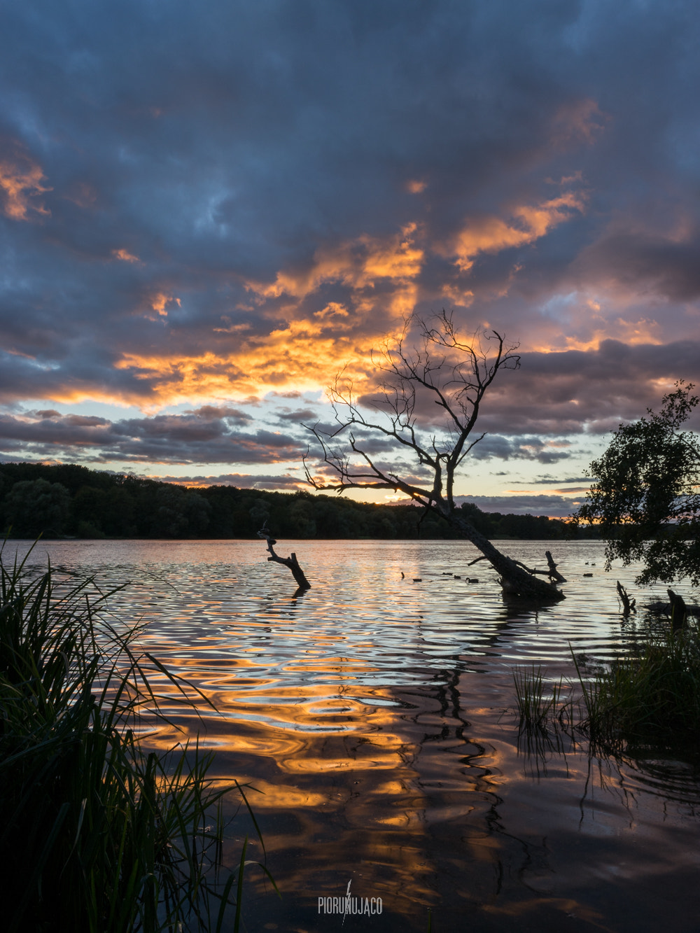 Sony a7 II + E 21mm F2.8 sample photo. Zachód 4 x 2016 photography