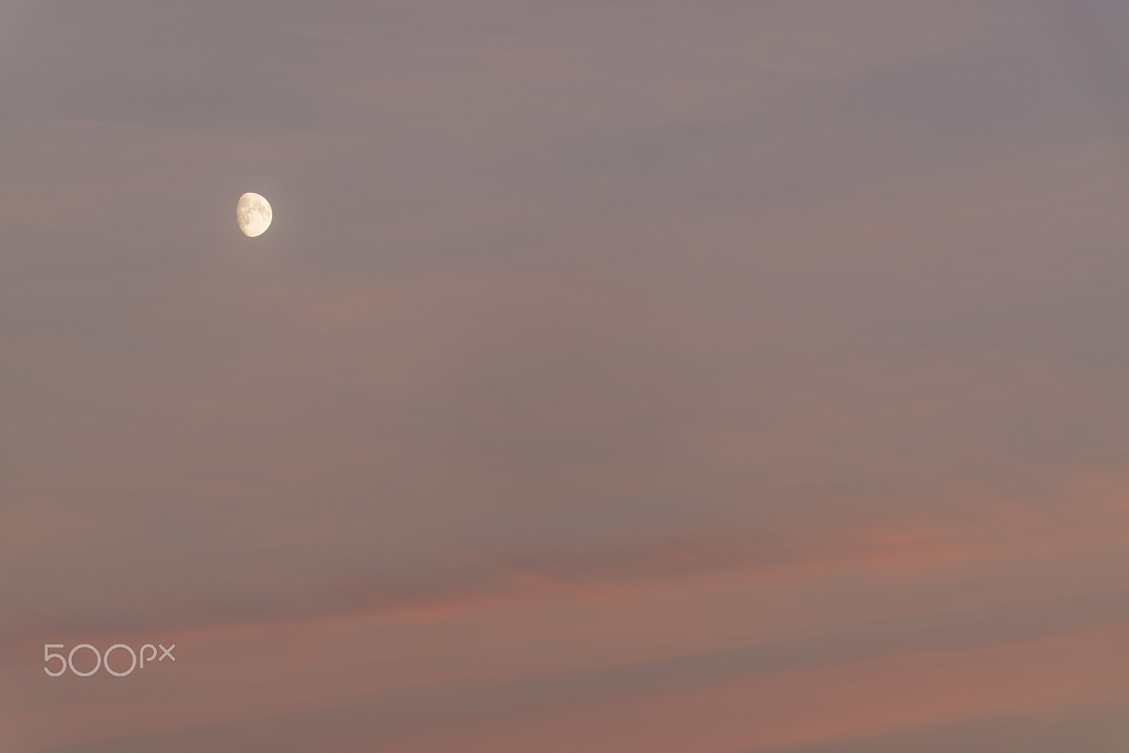 Nikon D800 sample photo. The moon in sunset photography