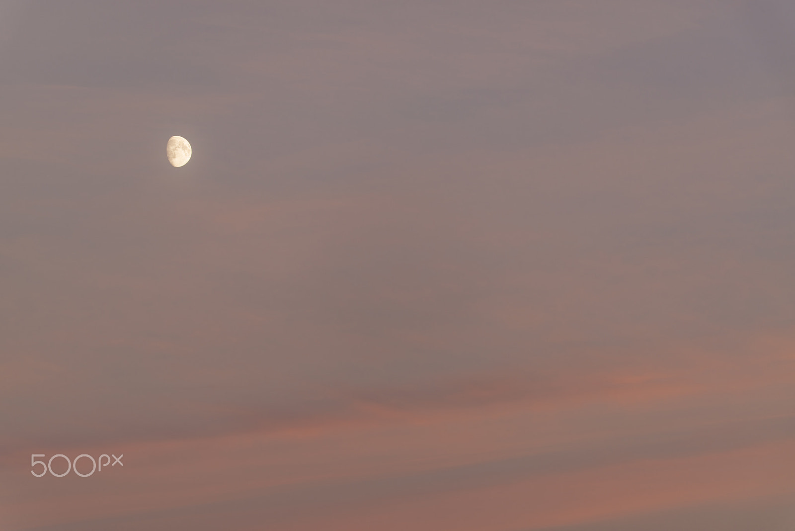 Sigma 150-600mm F5-6.3 DG OS HSM | S sample photo. The moon in sunset photography