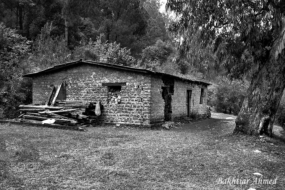 Canon EF-S 17-55mm F2.8 IS USM sample photo. Serenity photography