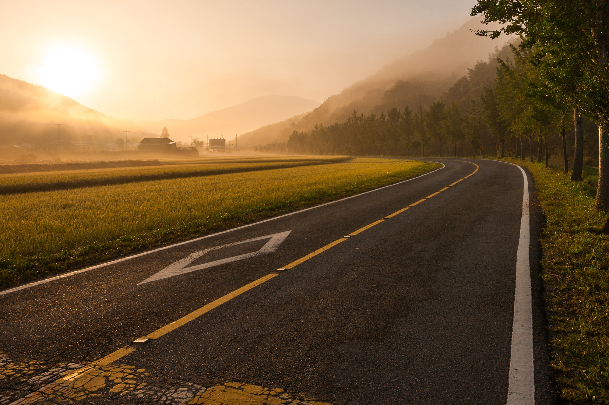 Nikon D700 sample photo. Morning light photography