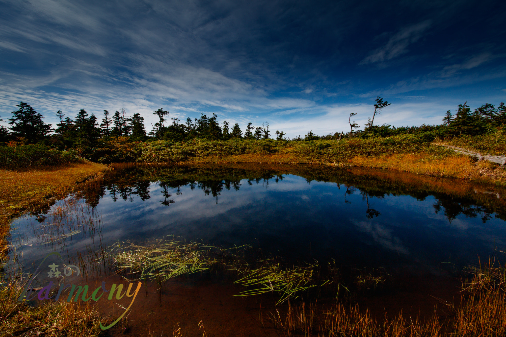 Sigma 12-24mm F4.5-5.6 II DG HSM sample photo. Small pond  in autumn mountain photography