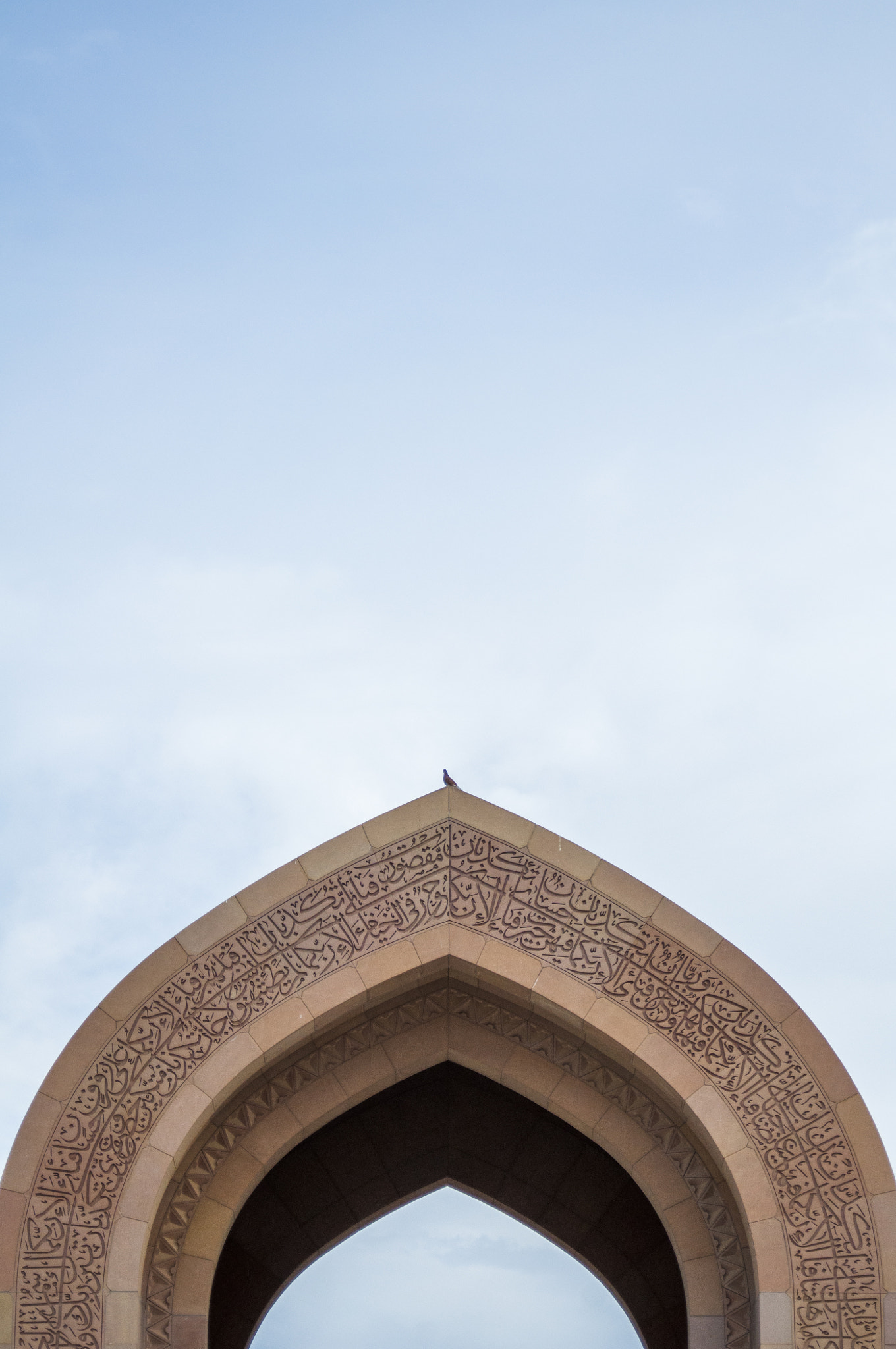 AF Zoom-Nikkor 28-80mm f/3.3-5.6G sample photo. The arch-bird photography