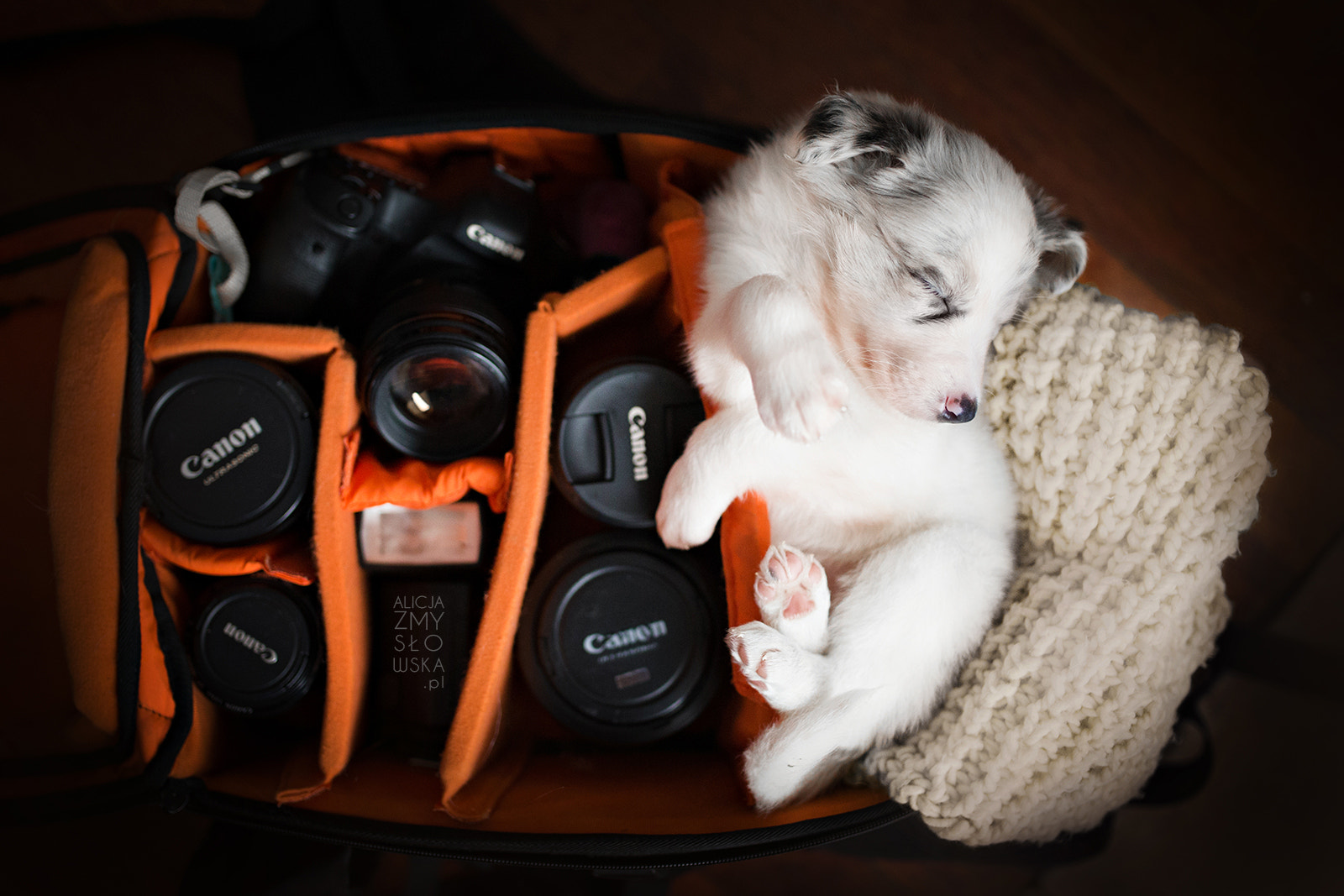 Sigma 35mm F1.4 DG HSM Art sample photo. Little helper photography