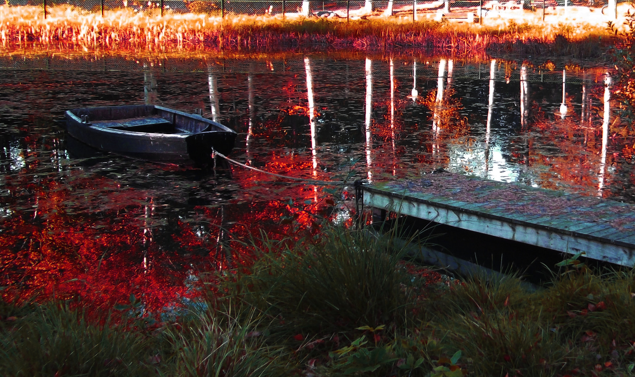 FujiFilm FinePix JX300 (FinePix JX305) sample photo. Boat on a pond photography