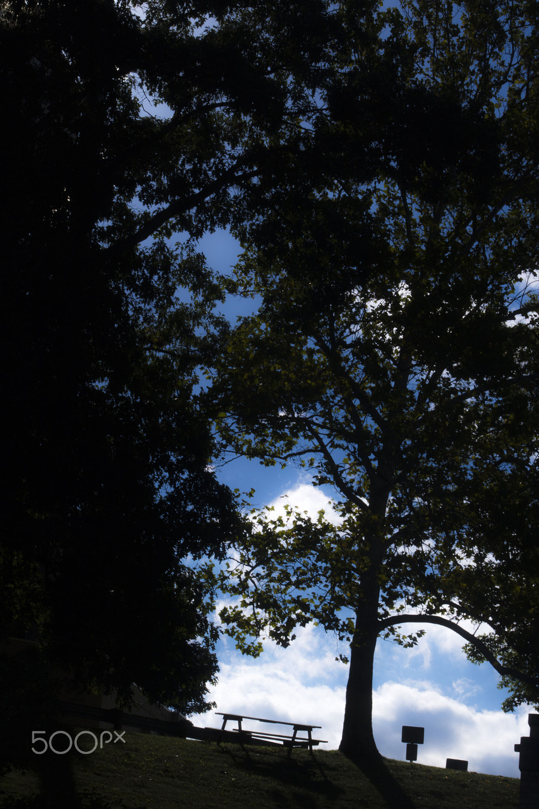 Canon EOS 750D (EOS Rebel T6i / EOS Kiss X8i) + EF75-300mm f/4-5.6 sample photo. The hill photography