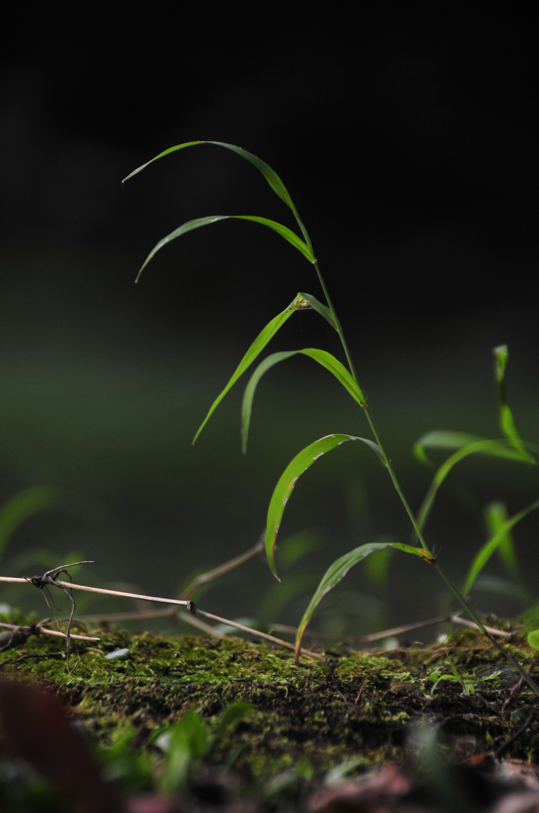 Nikon D3 sample photo. .. photography