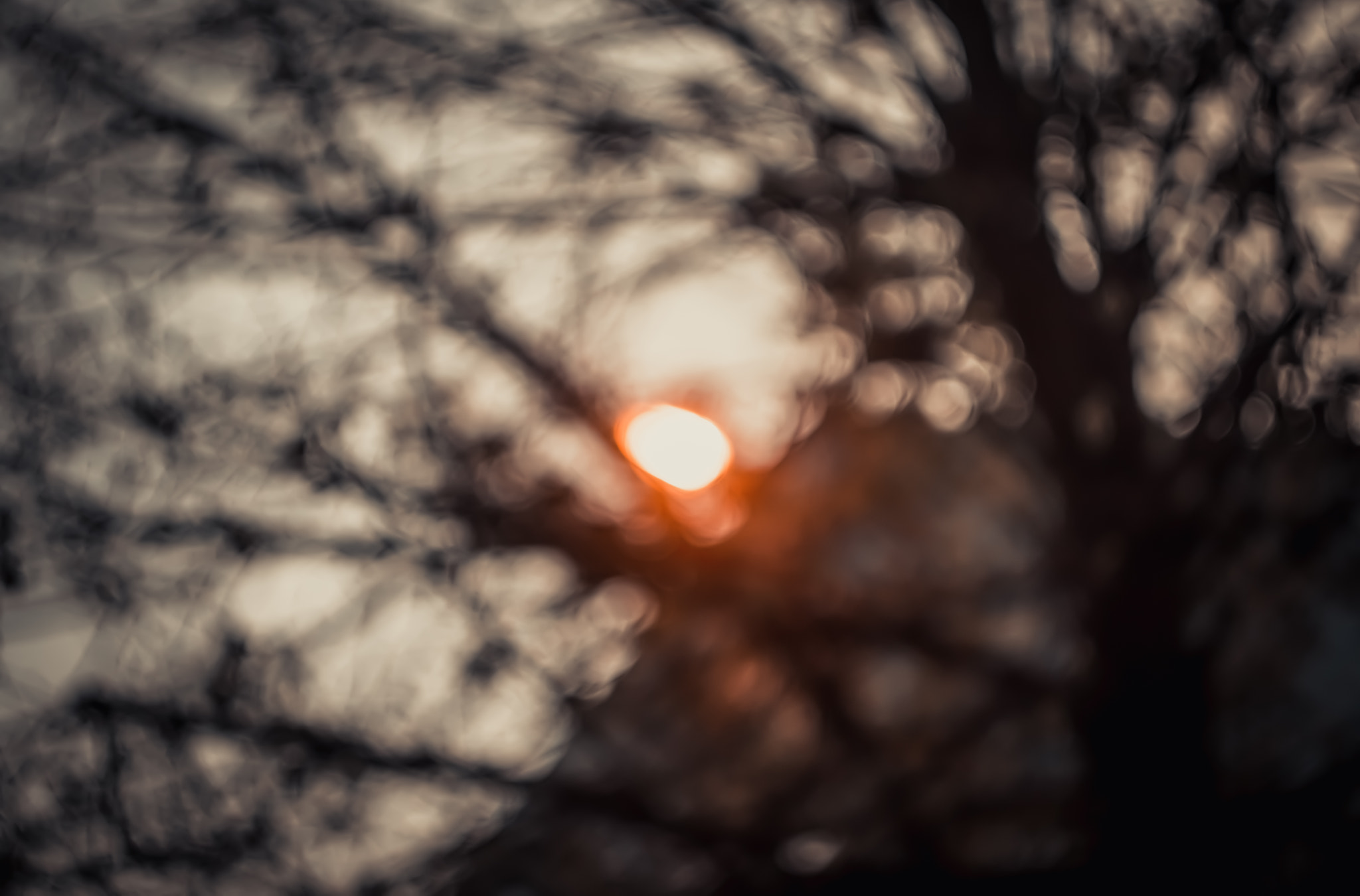 Sony SLT-A77 + Minolta AF 50mm F1.7 sample photo. Lumen photography