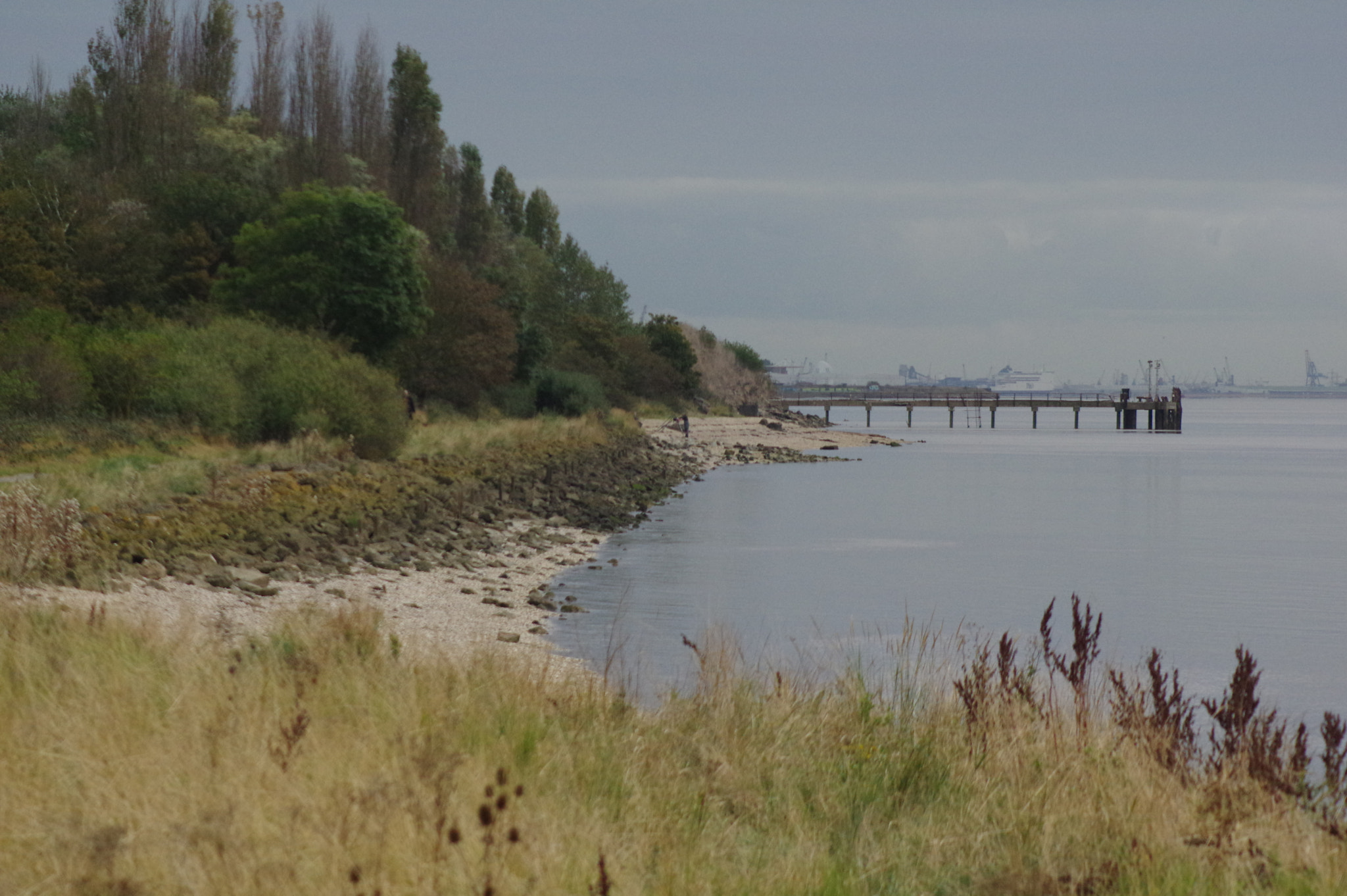 Pentax K-3 + Tamron AF 70-300mm F4-5.6 Di LD Macro sample photo. North bank of the humber photography