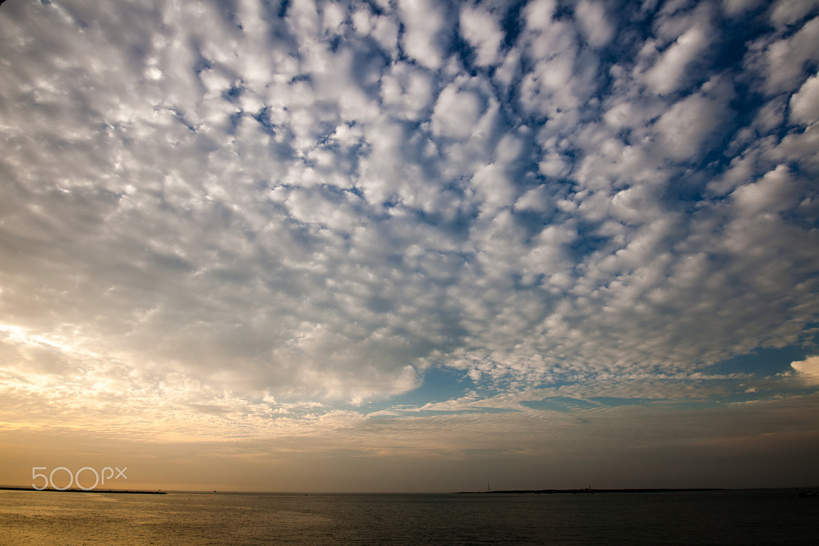 Canon EF 300mm f/2.8L sample photo. Img photography