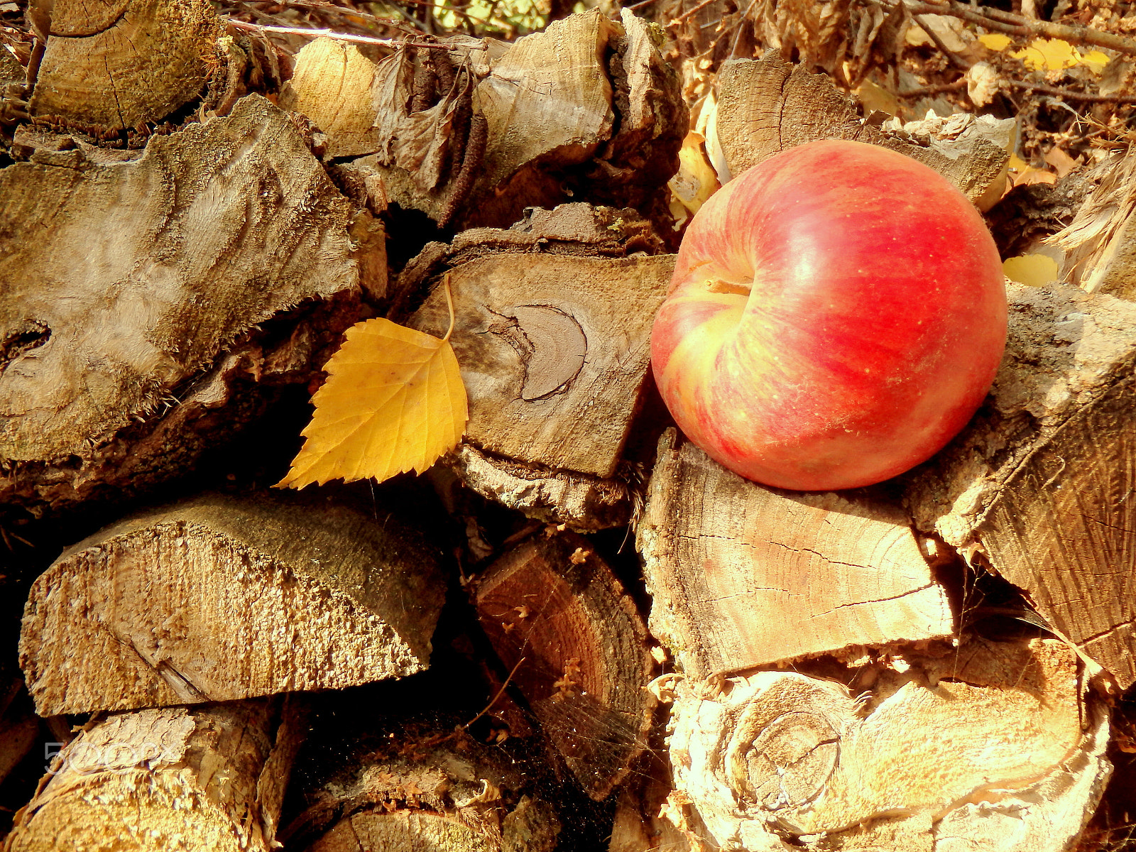 Olympus TG-830 sample photo. Autumn comes to ukraine photography