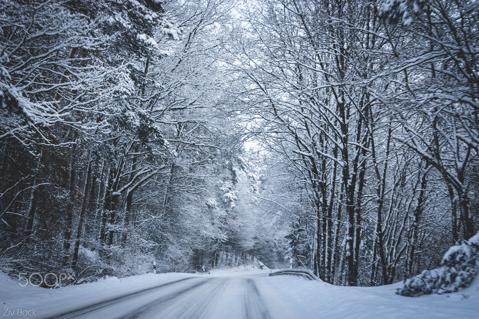 Sigma 17-70mm F2.8-4 DC Macro OS HSM sample photo. Winter wonders photography