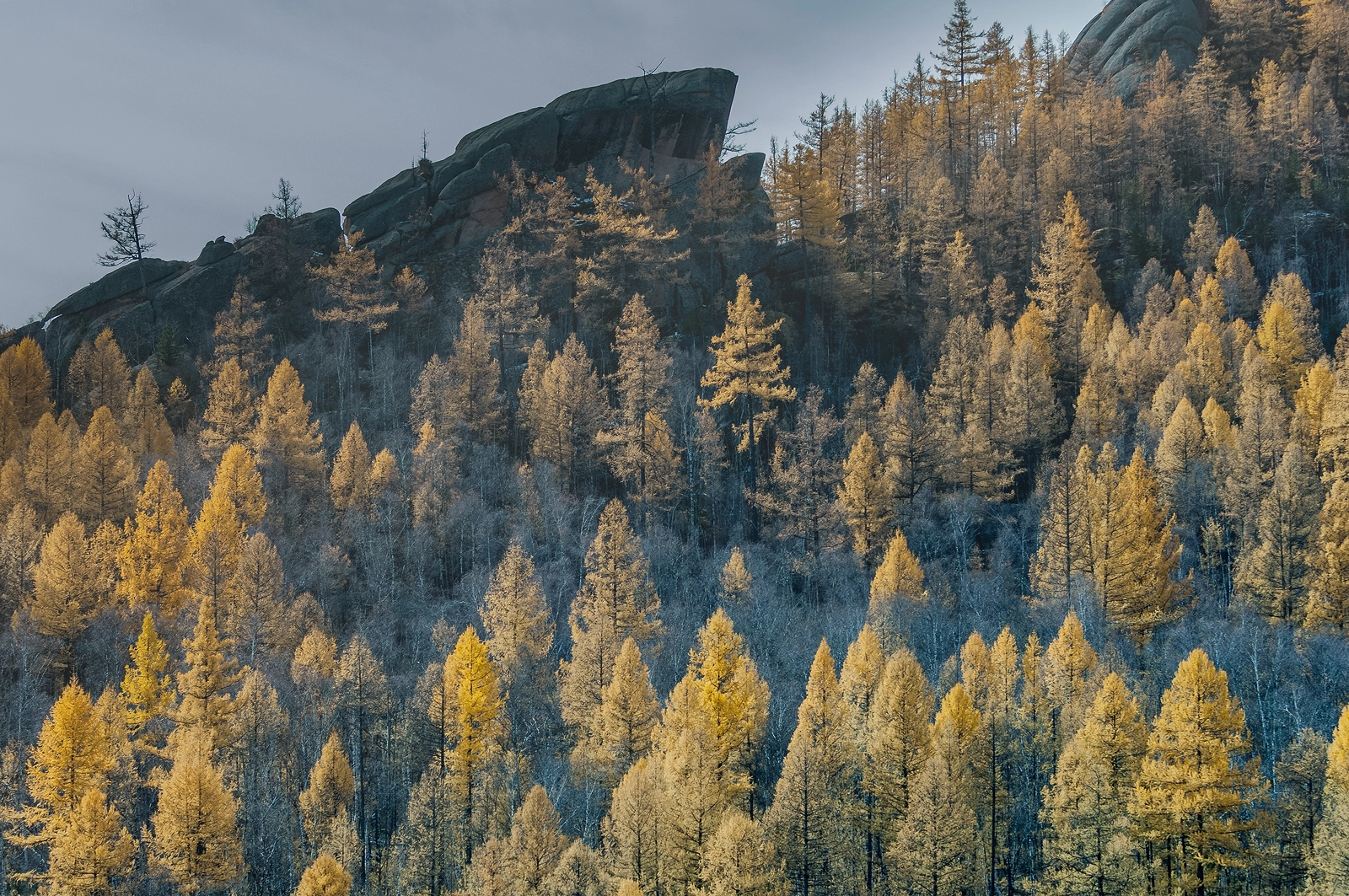 Nikon D2X sample photo. Terelj national park autumn photography