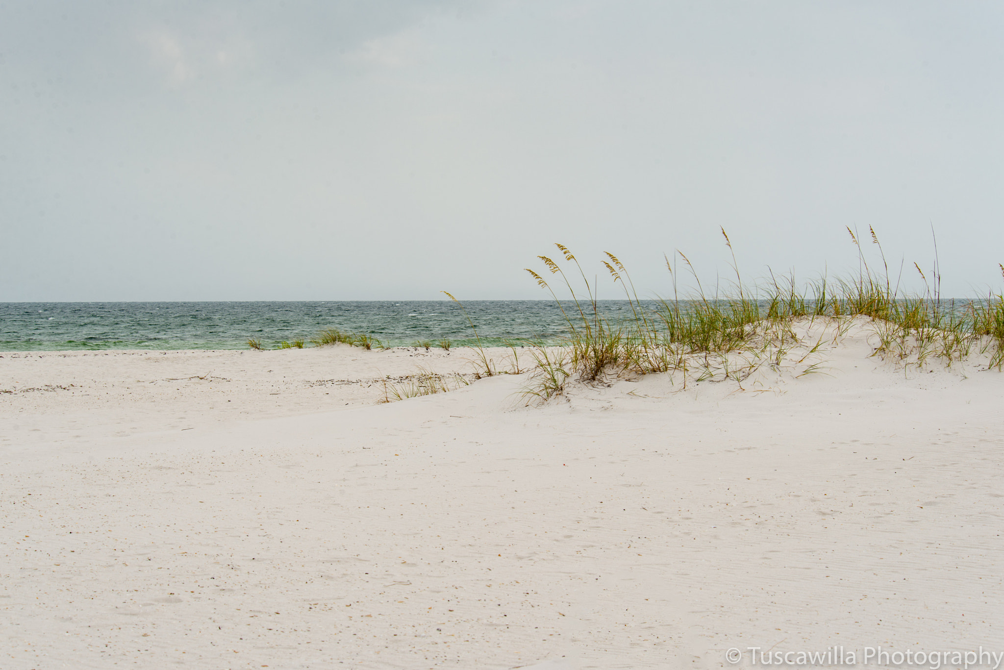 Nikon D600 sample photo. Sand dune photography