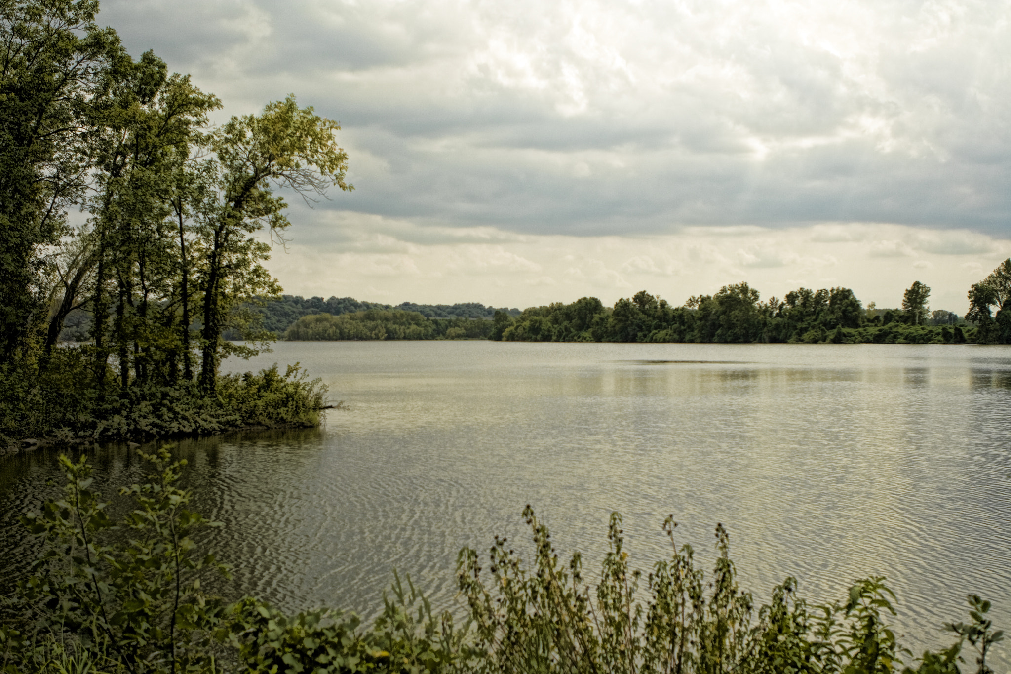 Canon EOS 400D (EOS Digital Rebel XTi / EOS Kiss Digital X) sample photo. Creve coeur lake photography