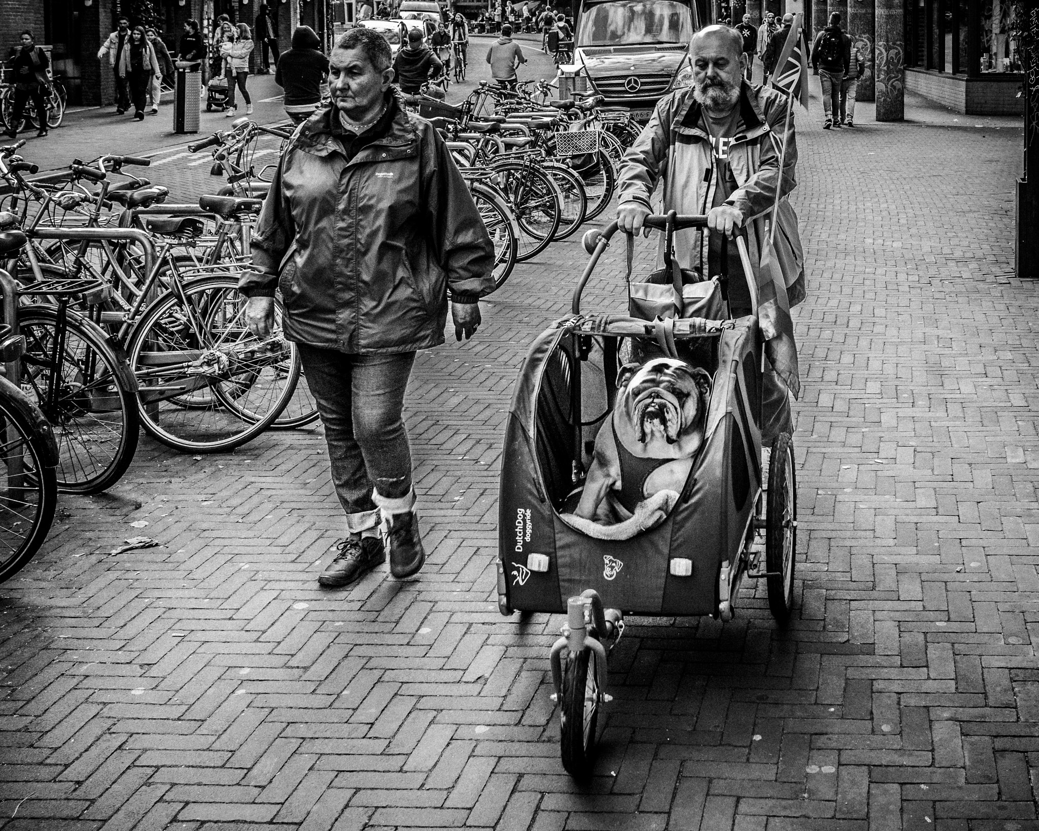 Canon EOS 500D (EOS Rebel T1i / EOS Kiss X3) + Canon EF-S 24mm F2.8 STM sample photo. Taking the dog for a walk ~ amsterdam photography