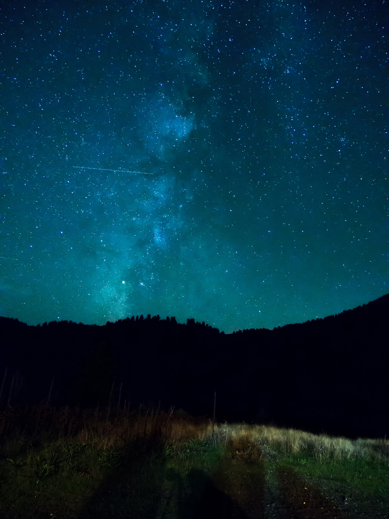 Olympus OM-D E-M10 sample photo. Shooting star photography