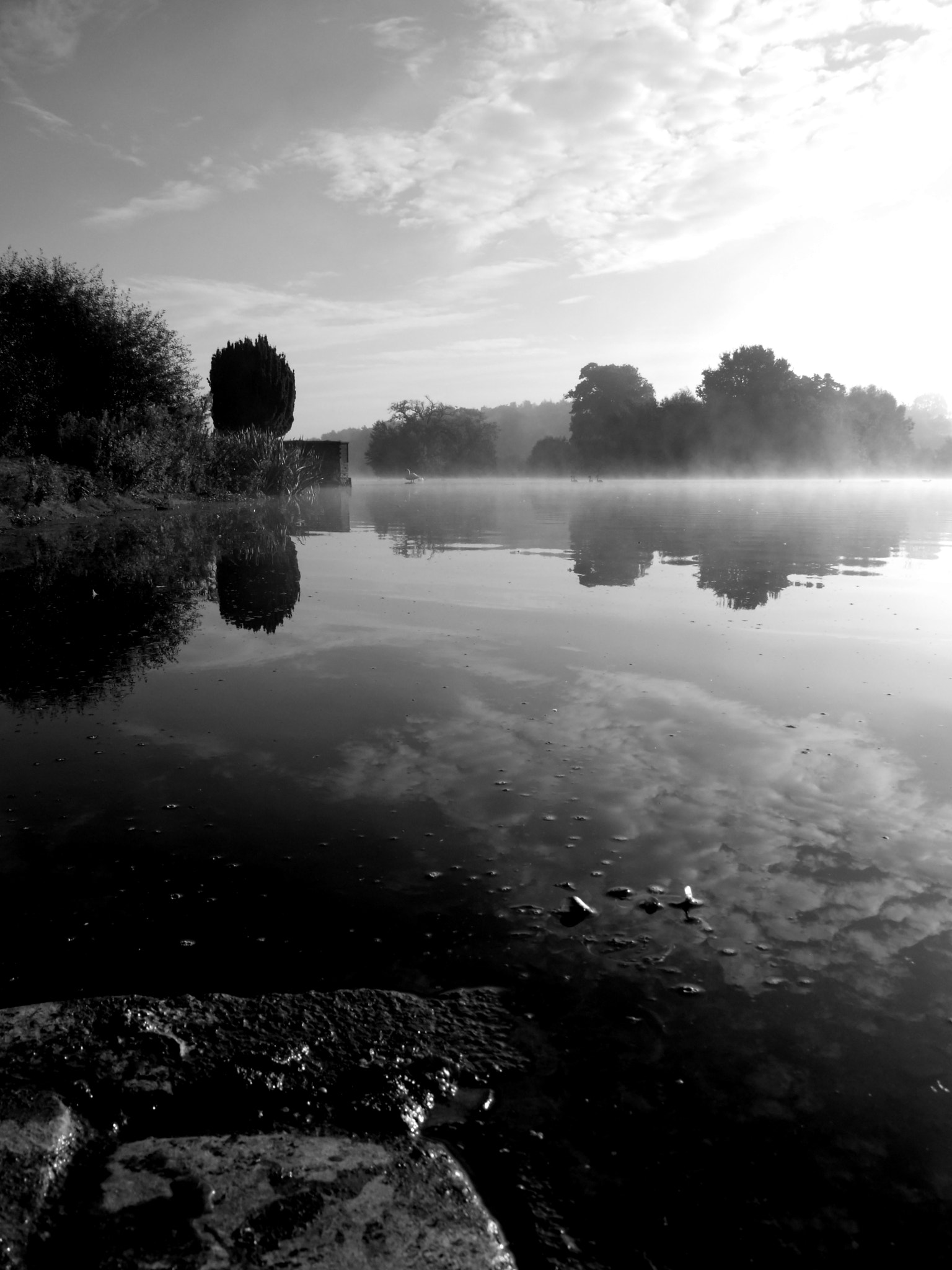 FujiFilm FinePix S200EXR (FinePix S205EXR) sample photo. River mist @ clumber park photography