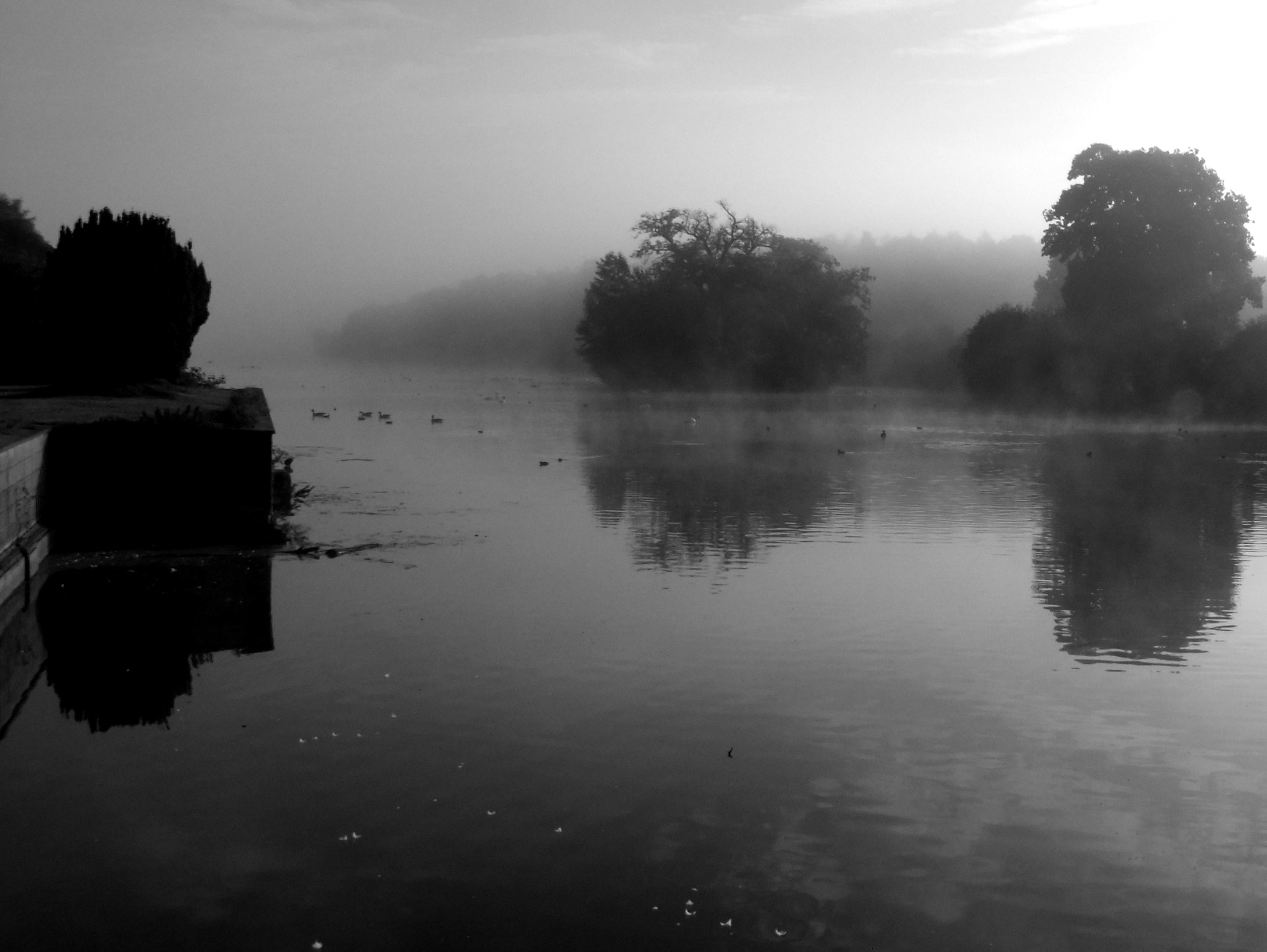 FujiFilm FinePix S200EXR (FinePix S205EXR) sample photo. River mist clumber park photography