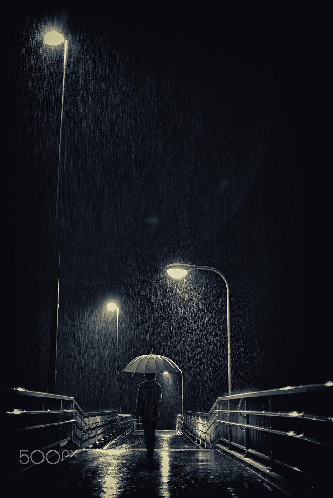 Leica Noctilux-M 50mm F0.95 ASPH sample photo. Rain photography