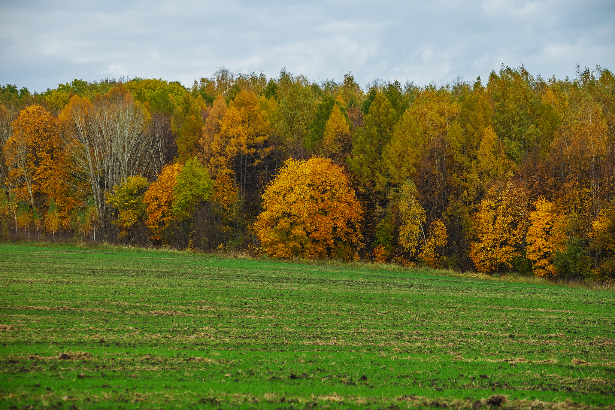 Canon EF 28-300mm F3.5-5.6L IS USM sample photo. Осень photography
