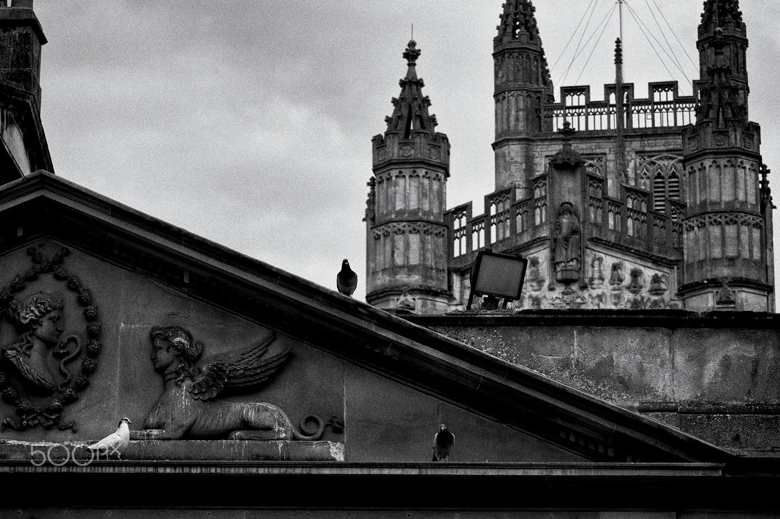 Tamron AF 28-75mm F2.8 XR Di LD Aspherical (IF) sample photo. Pigeons near the abbey photography