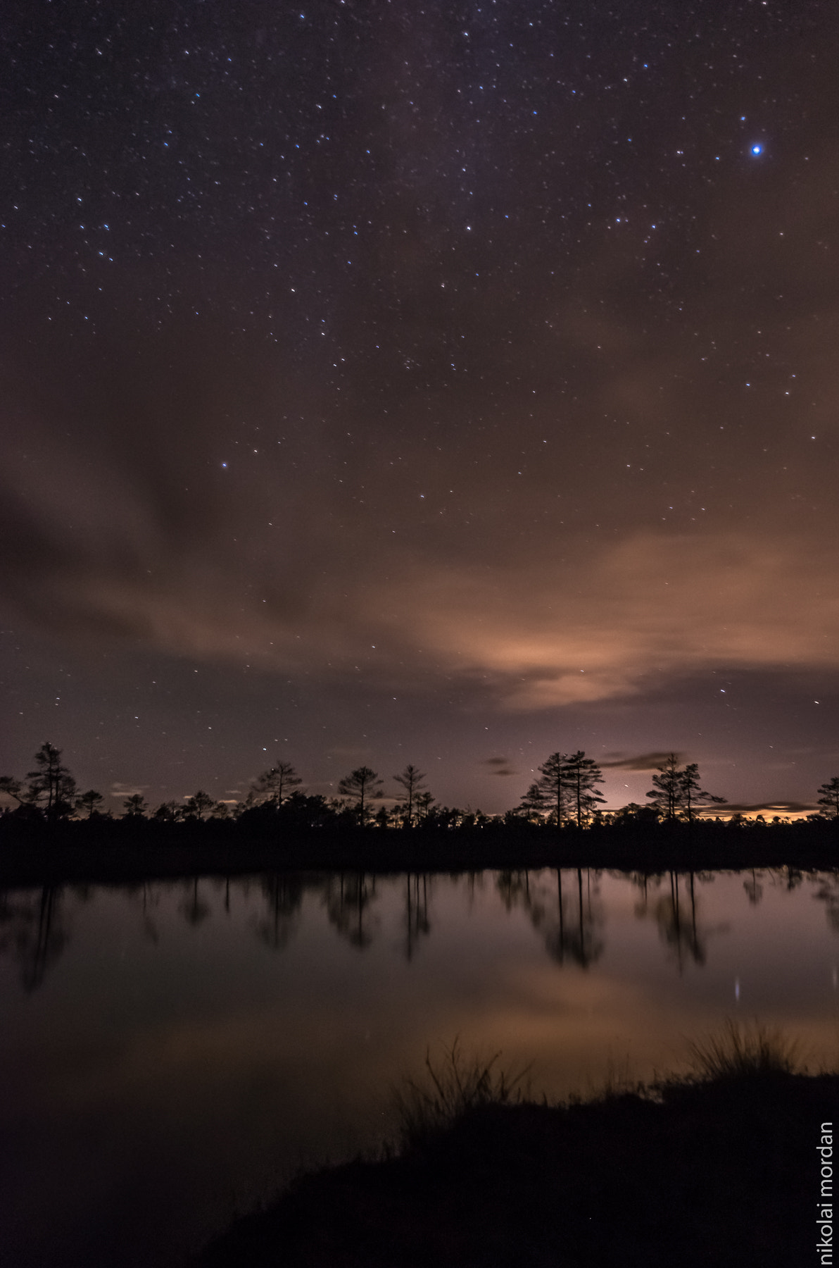 Pentax smc DA 15mm F4 ED AL Limited sample photo. Tales from the bog photography